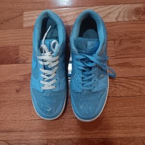 Nike Dunk Low Top Dual-Lace Blue Sneakers